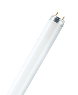 Люминесцентная лампа Osram L 15W/865 25X1 LF