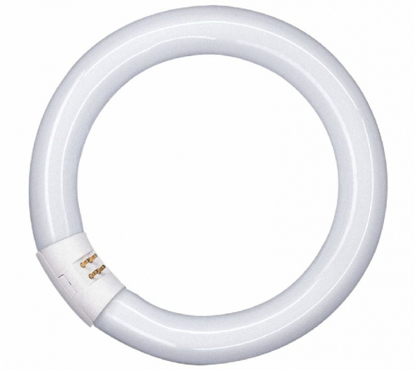 Люминисцентная лампа Osram L 40W/840  G10q кольцевая