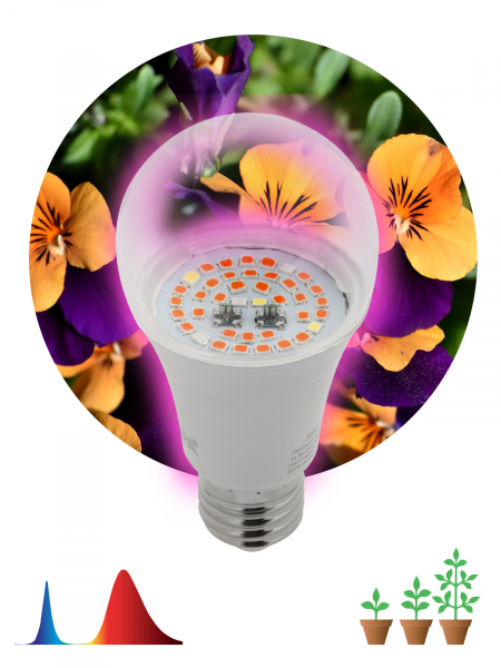 ЭРА FITO-12W-RB-E27