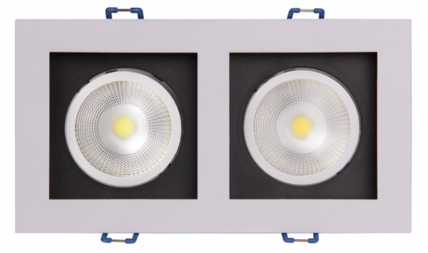 Jazzway PSP-S 212  2x8W 4000K 55град White IP40 кардан