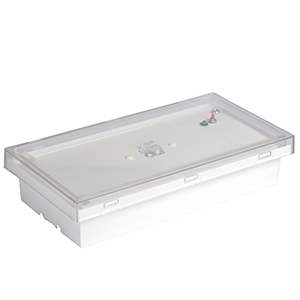 Белый свет BS-BRIZ-10-L1-BZ 120х228х50 IP65  постоянный централизованный