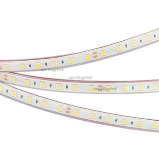 Arlight Лента IP68 24V 14,4Вт/м 3000К  RTW-PFS-B60-13mm 24V Warm3000 (14.4 W/m, IP68, 5060, 5m) (кратно 5)