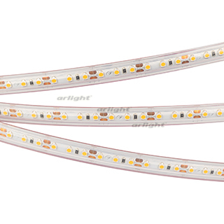 Arlight Лента IP67 12V 9,6 Вт/м 6000K /RTW-PS-A120-10mm 12V White6000 (9.6 W/m, IP67, 2835, 5m) (кратно 5)