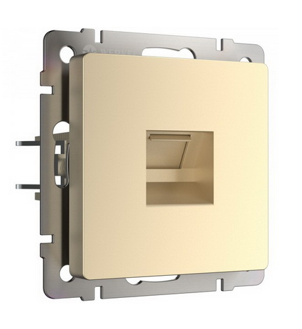 Werkel Шампань Розетка телефонная  RJ-11 WL11-RJ-11 / a040909