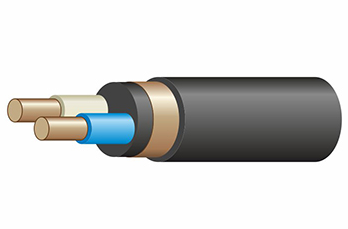 ВВГЭнг(А)-LS 2х2,5-0,66 ок(N) кабель Центркабель