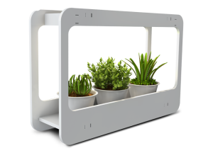 Светильник Jazzway PMG 002 LED 14w 4000K ( подставка для цветов)