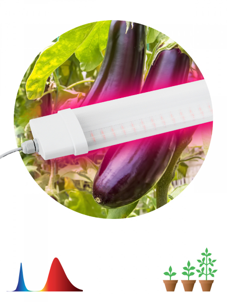 Cветильник линейный красно-синего спектра ЭРА FITO-36W-RB-N