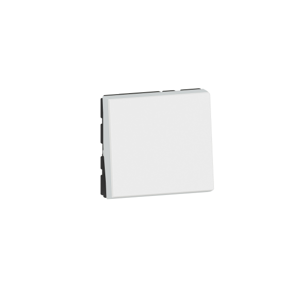 Legrand  Mosaic Выключатель 10 AX  2модуля 077010L