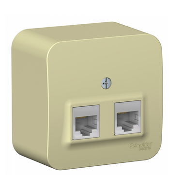BLANCA Бежевый Розетка 2-местная компьютерная RJ45, категория 5E, изолирующая пластина, открытая установка BLNIA045457