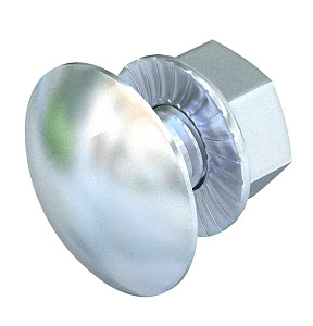 Болт с плоской головкой M6x12 /FRSB 6X12 F/