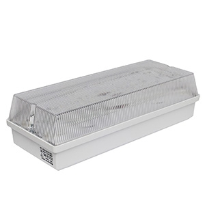 Светильник Белый свет BS-UNIVERSAL-51-L1-INEXI2 10,5Вт 870Лм IP65 105х310х155 1час Комбинированный