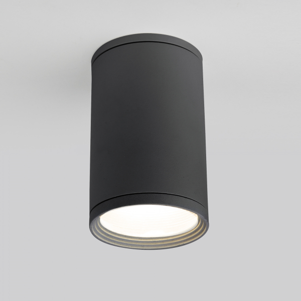 Elektrostandard 35128/H / Светильник садово-парковый Light 2101 серый