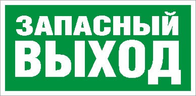 Символ Световые Технологии ПЭУ 008 Запасный выход (130х260)