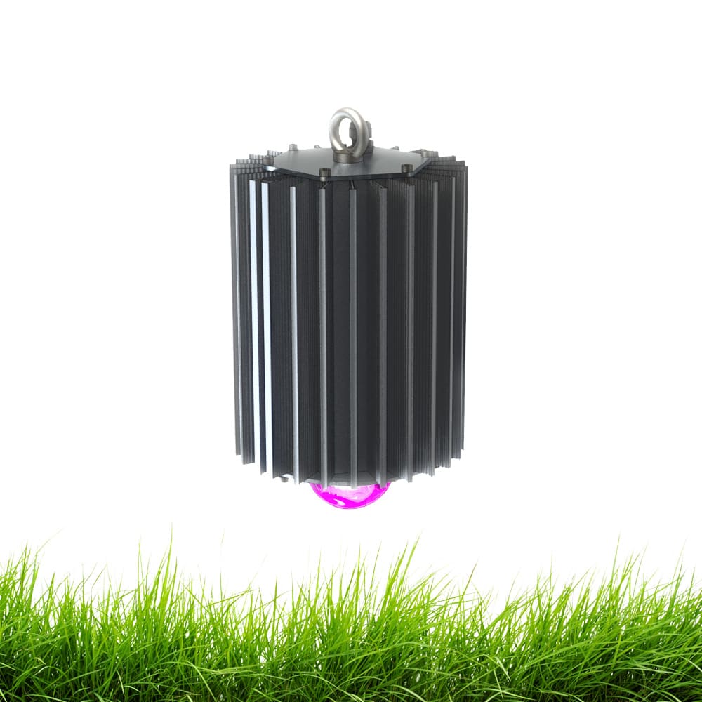 Профи v2.0 100 Фито 60°