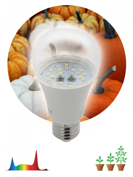 ЭРА FITO-11W-Ra90-E27