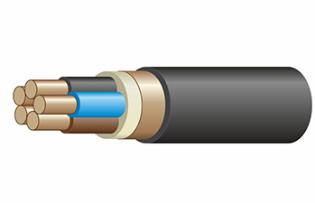 ВВГЭнг(А)-LS 5х2,5-0,66 ок(N,PE) кабель Центркабель