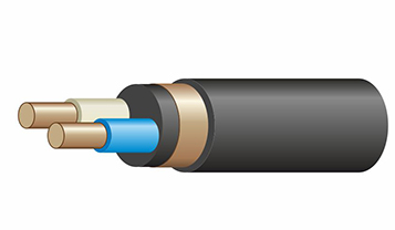 ВВГЭнг(А)-LS 2х1,5-0,66 ок(N) кабель Центркабель