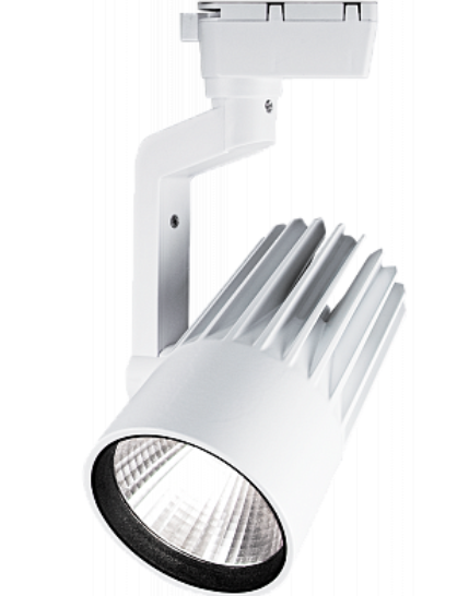 Jazzway PTR 0130-2 30w 4000K 24град WH (белый) IP40