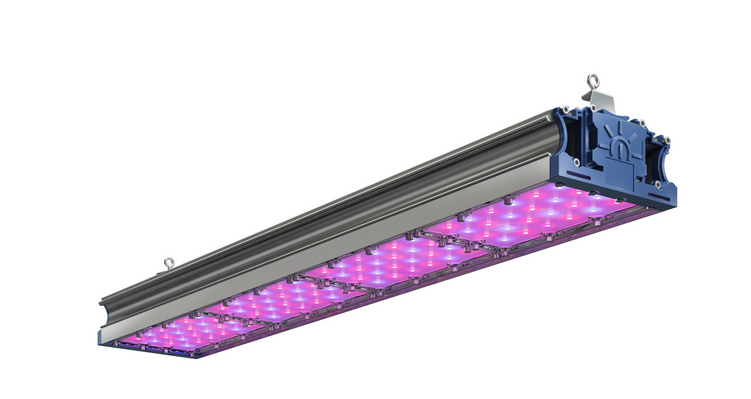 Светильник ФИТО-200W IP67 228ммоль/с КСС Г VR  120х150х823 свечение фиолетовый Технологии Света