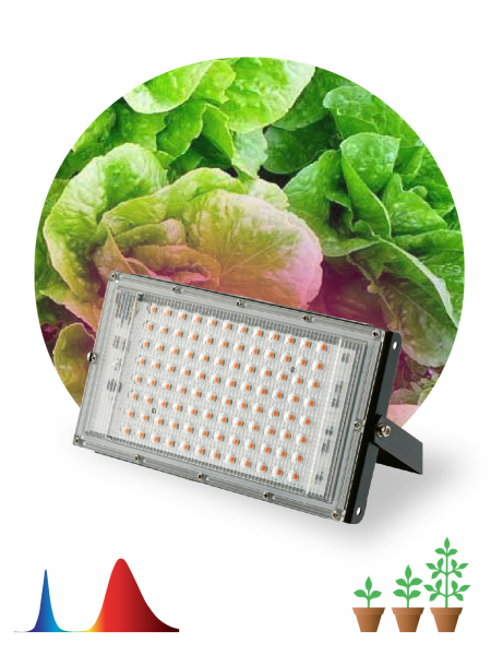Фитопрожектор для растений ЭРА FITO-80W-RB-LED-Y красно-синего спектра