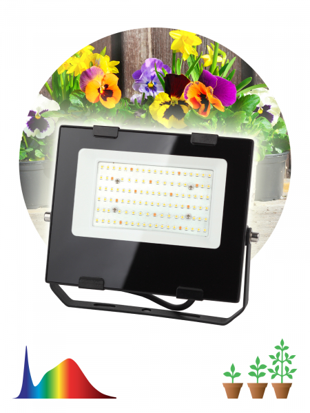 FITO-50W-Ra90-LED ЭРА для  цветения и плодоношения (10/300)