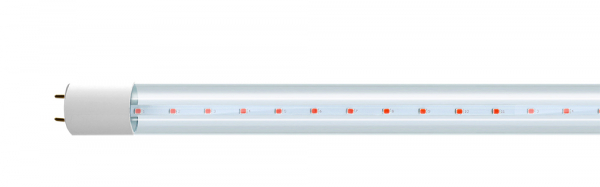 .Jazzway PLED T8   900 Agro  12Вт CL G13 ( для растений)