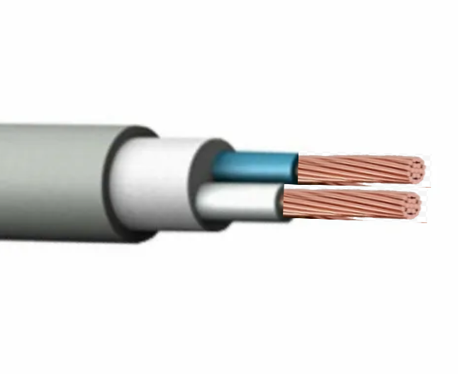 ВВГнг(А)-LS 2х10-0,66 (мж) пл.кабель БРЭКС