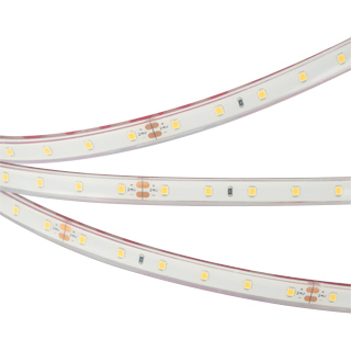Arlight Лента IP68 24V 4,8Вт/м СИНИЙ /RTW-PFS-A60-11mm 24V Blue (4.8 W/m, IP68, 2835, 5m) (кратно 5)