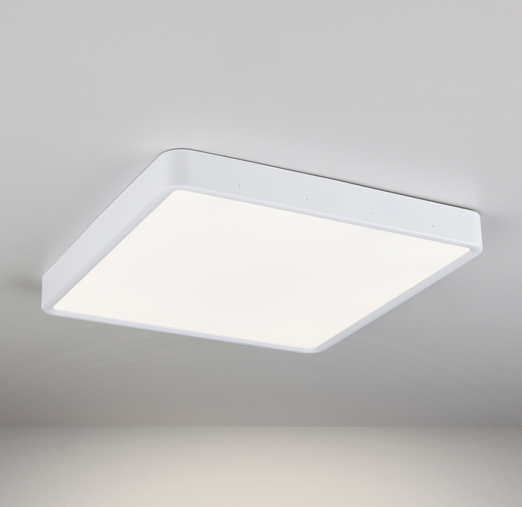 Светильник светодиодный Elektrostandard DLS034 24W 4200K