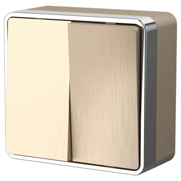 Werkel W5020210/ Выключатель двухклавишный влагозащищенный Gallant (шампань рифленый) a051045