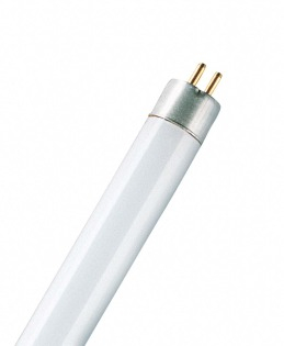 Люминесцентная лампа  OSRAM  4Вт  4000К  G5