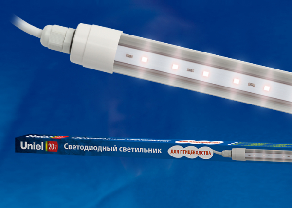ULY-P61-20W/SCEP/K IP65 DC24V WHITE Светильник для птиц светодиодный линейный, 1250мм, c коннектором. Спектр для яйценоскости. TM Uniel