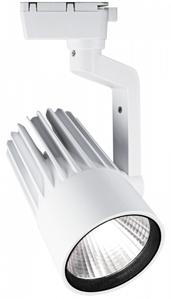 PTR  0130-2 30w 3000K 24град WH (белый) IP40 Jazzway