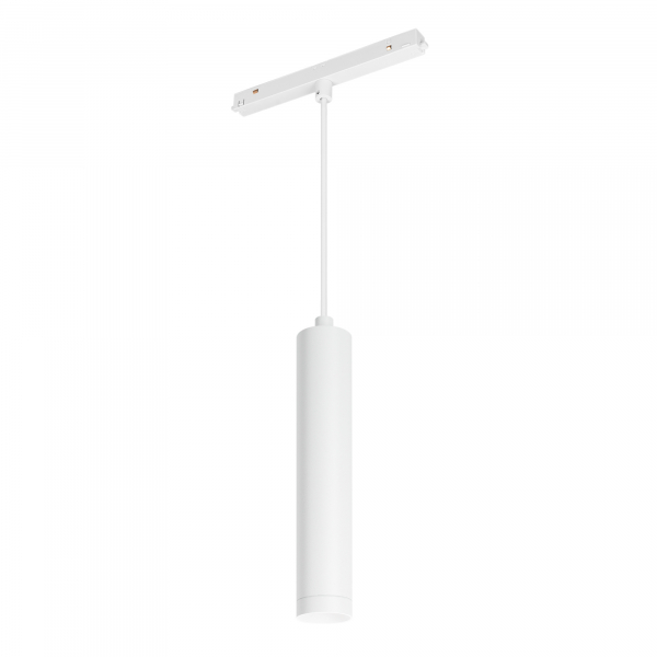 Светильник MAG-ORIENT-SPOT-HANG-R45-12W Day4000 (WH, 24 deg, 48V) (Arlight, IP20 Металл, 3 года)