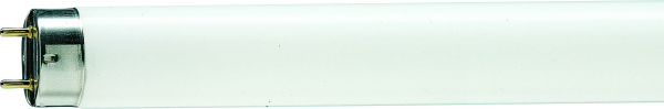 Люминесцентная лампа  Philips  T8  30Вт  6200К  G13