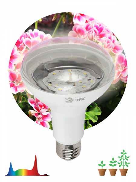 FITO Лампы тип цоколя E27  ЭРА FITO-15W-Ra90-E27
