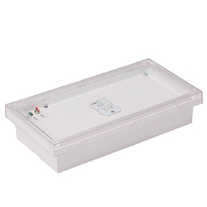 Светильник Белый свет BS-BRIZ-81-L1-INEXI2 228х50х120 IP65 1ч. непостоянный