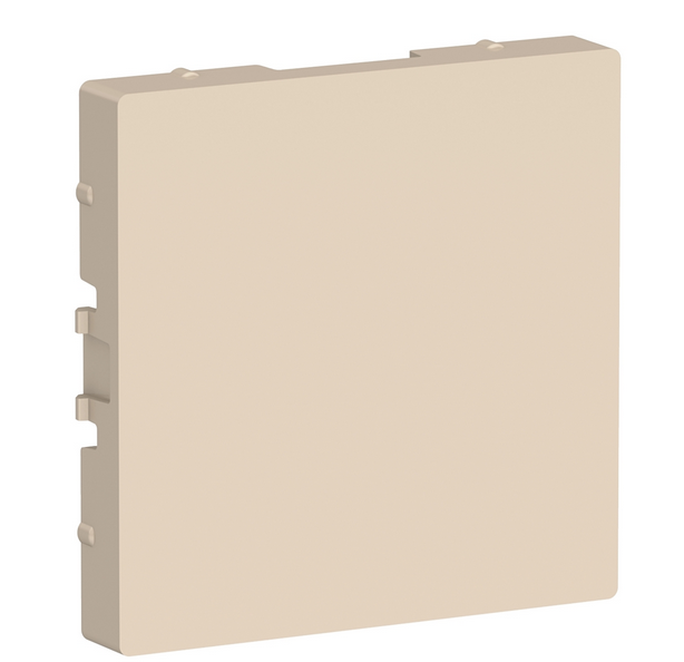 AtlasDesign  Бежевый  Заглушка ATN000209