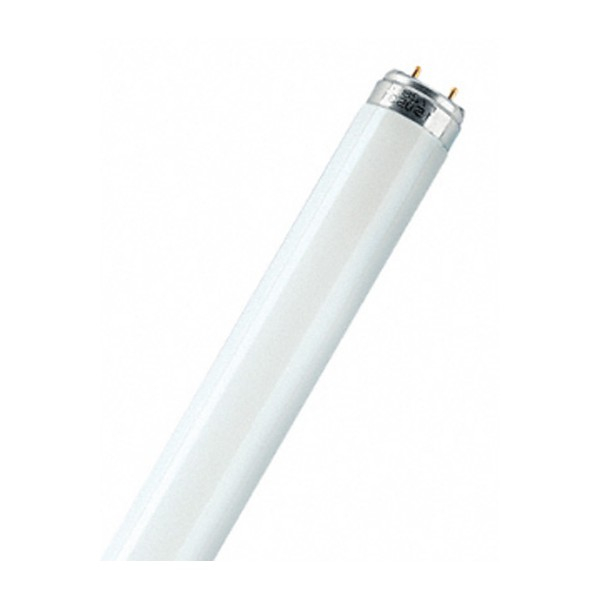 Люминесцентная лампа OSRAM L 36W / 965  LUMILUX BIOLUX  G13  D26mm  1200mm  6500K
