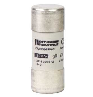 Предохранитель тип GG,РАЗМЕР  22X58.80А  Schneider Electric DF2FN80