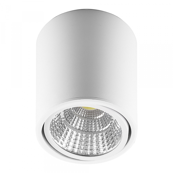 Feron AL516, 10W, 800Lm, 4000K, белый, поворотный